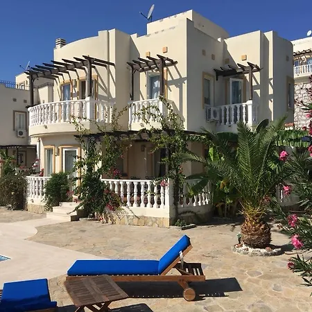 Vila Bodrum Turquoise 3 1 With Private Pool